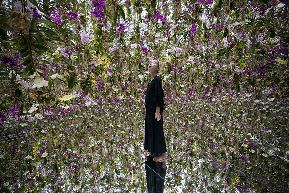 κρεμαστοί-κήποι-561416038