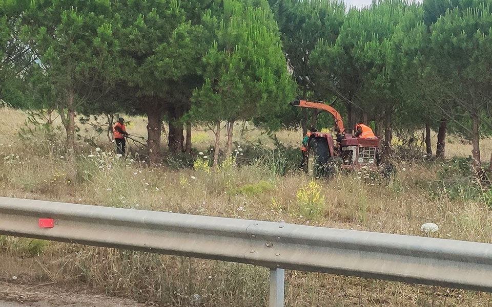 στην-κομισιόν-το-ζήτημα-για-τον-σχινιά-561402775