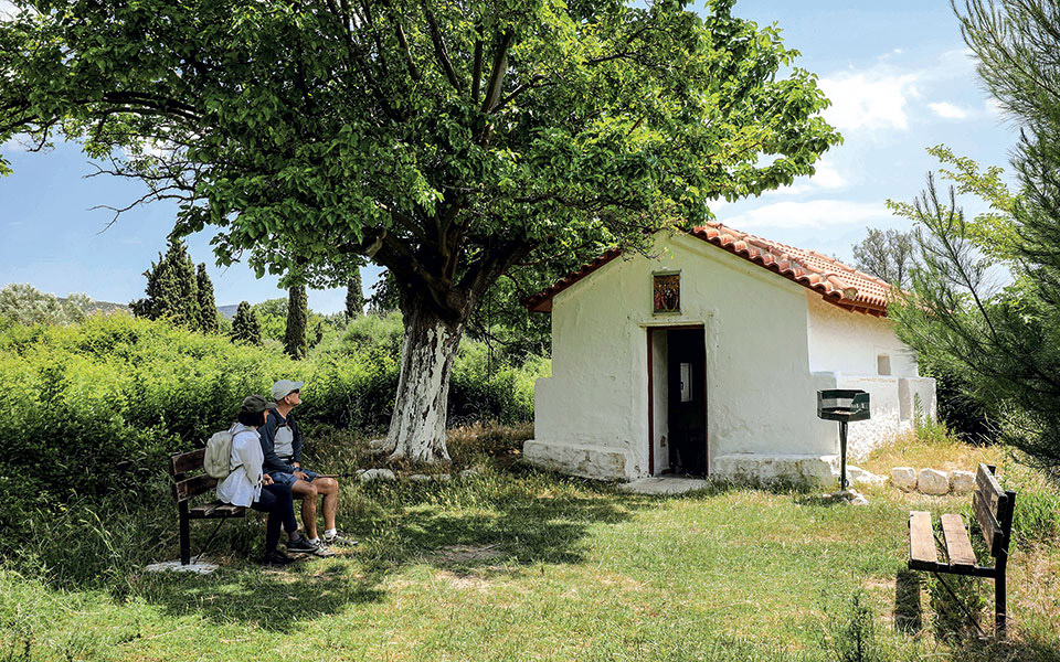 ο-άγνωστος-κόσμος-της-οινόης-στο-περιο-561396004