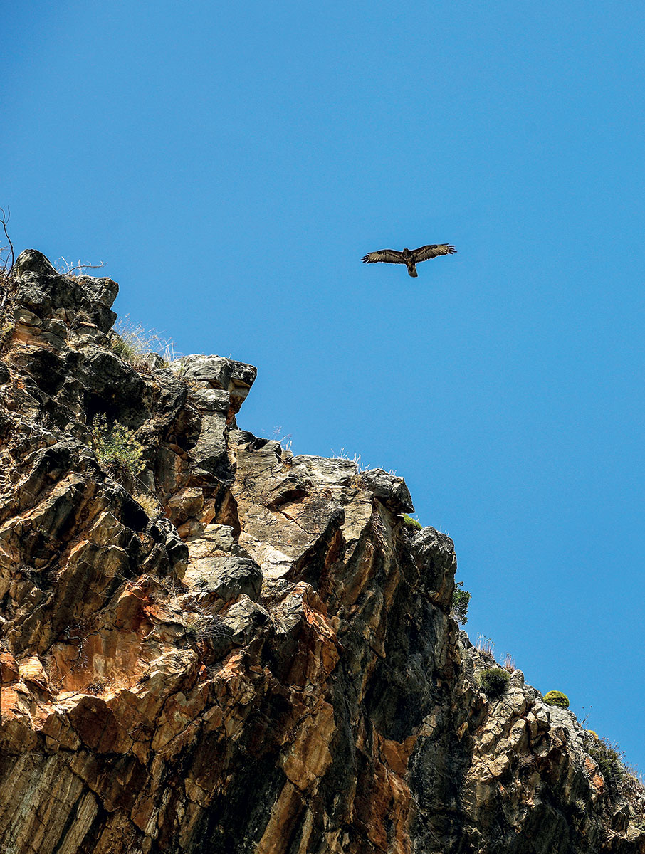 Το φαράγγι  της Οινόης-1