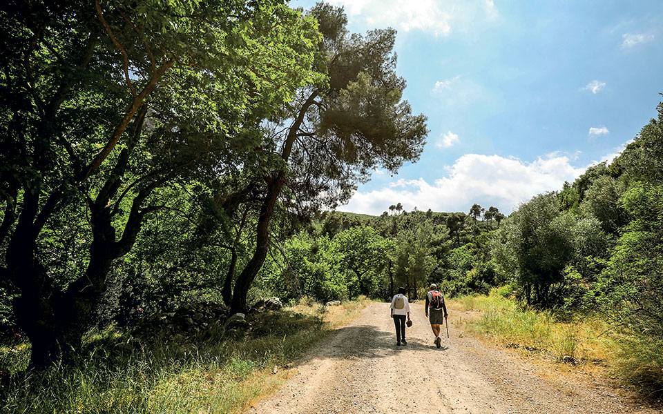 το-φαράγγι-της-οινόης-561406303