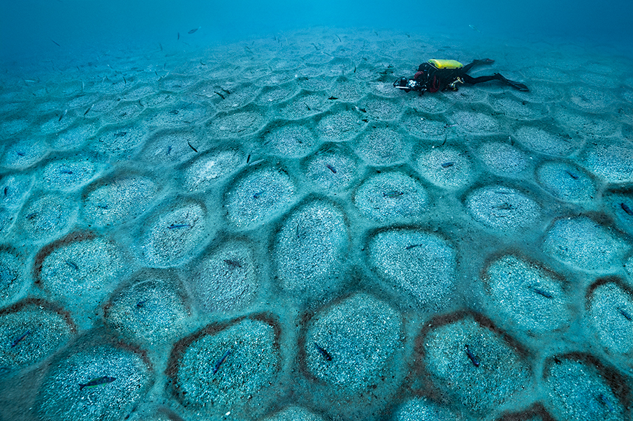 Βουτιά στο απέραντο γαλάζιο με τον Laurent Ballesta και την BLANCPAIN-16