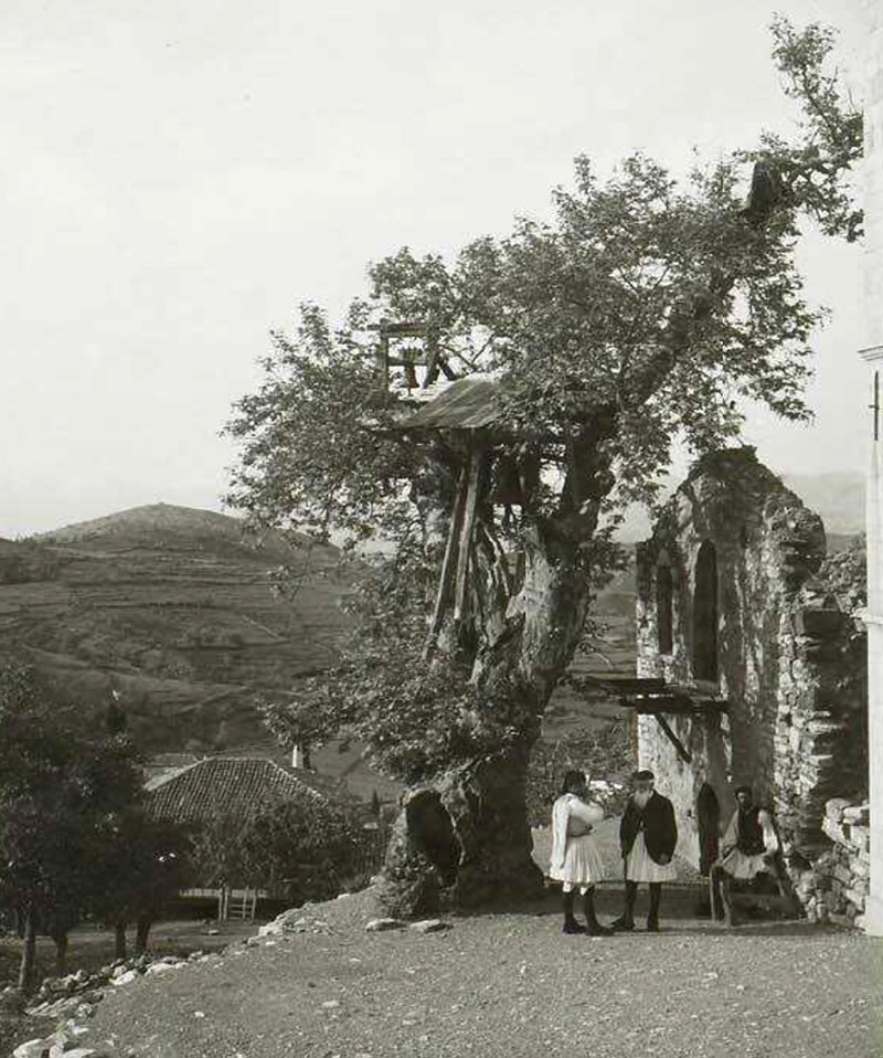 Τα δέντρα μιλούν για το ’21-2