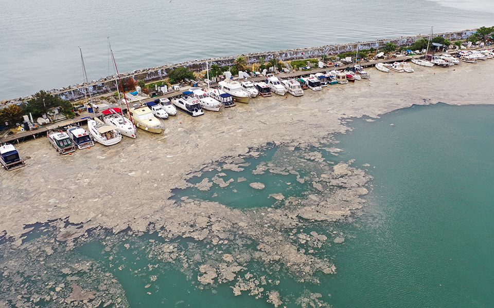 τουρκία-η-βλέννα-πνίγει-τη-θάλασσα-τ-561384082