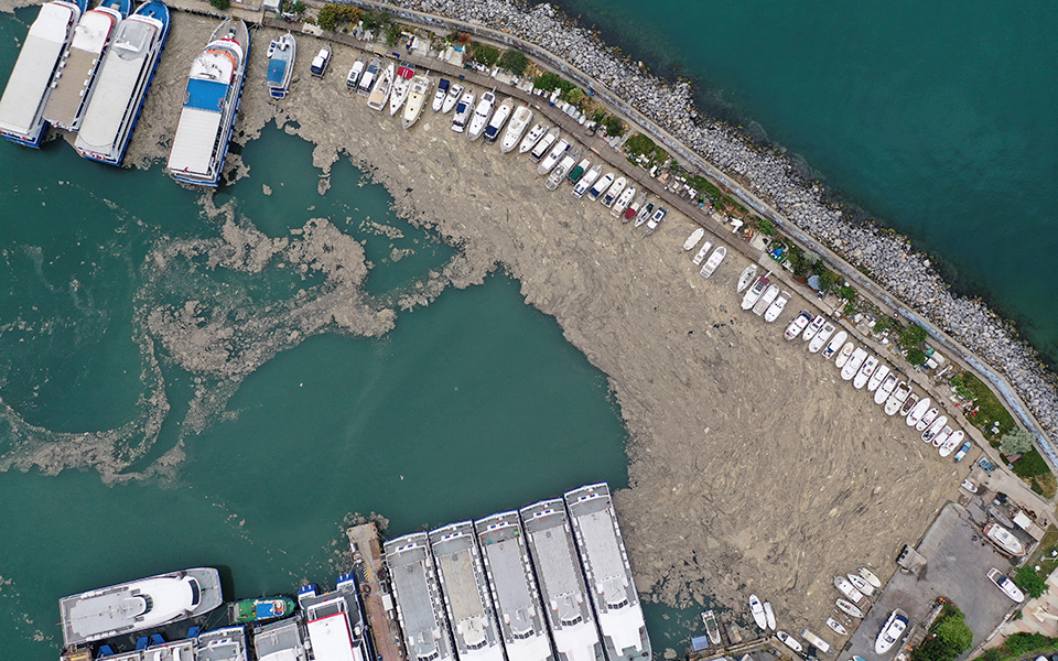 Τουρκία: Η βλέννα «πνίγει» τη θάλασσα του Μαρμαρά (φωτογραφίες – βίντεο)-1