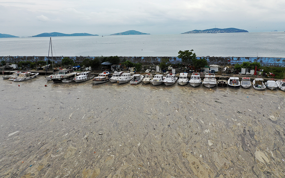 Τουρκία: Η βλέννα «πνίγει» τη θάλασσα του Μαρμαρά (φωτογραφίες – βίντεο)-2
