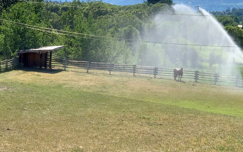 καναδάς-δεκάδες-αιφνίδιοι-θάνατοι-561416212