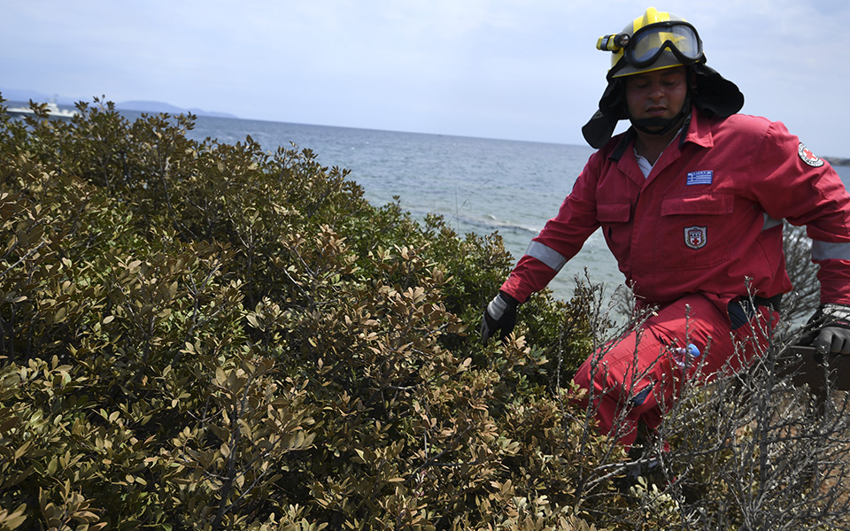συναγερμός-για-29χρονη-γαλλίδα-που-αγνο-561416791