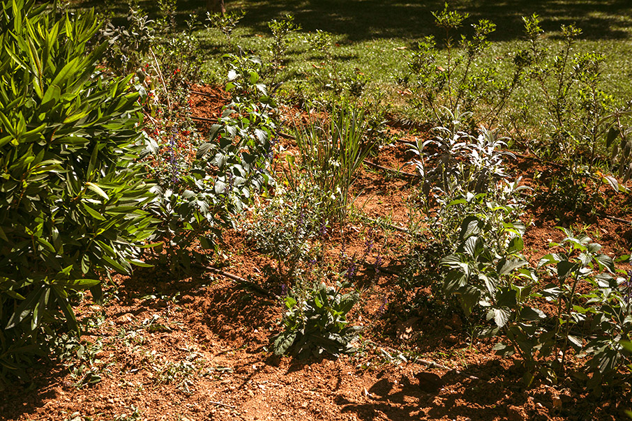 Πάρκο ΦΙΞ: Ένας νέος πνεύμονας πρασίνου στην Αθήνα-1