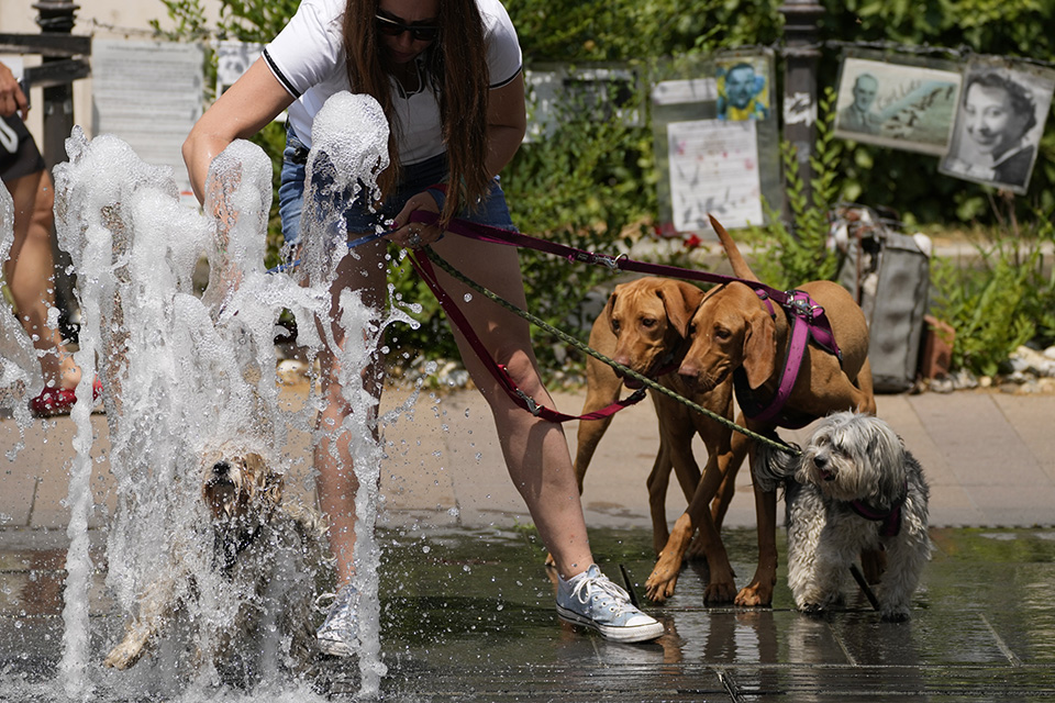 Μια ζέστη...