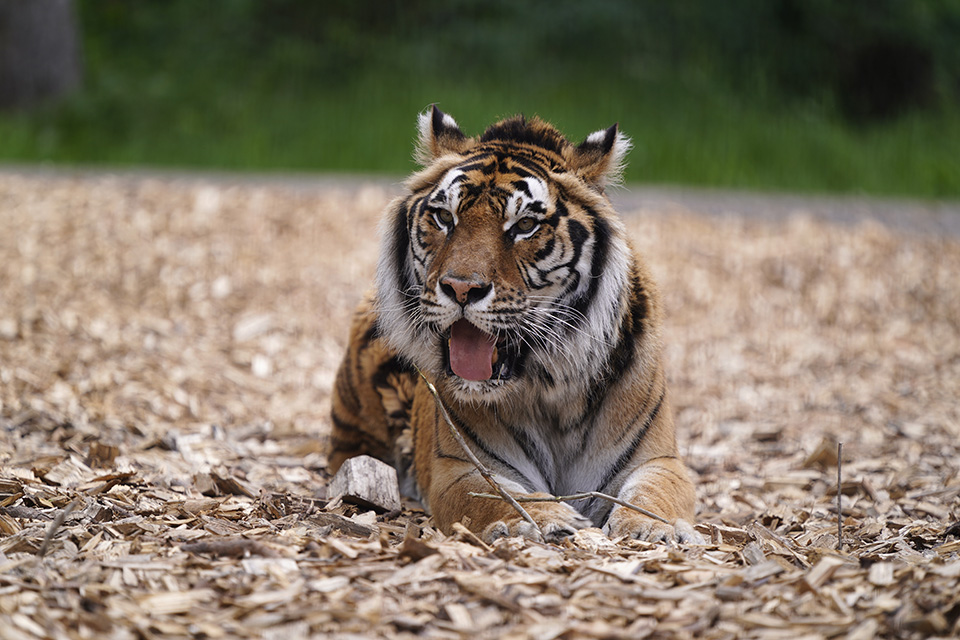 Χωρίς επιστροφή