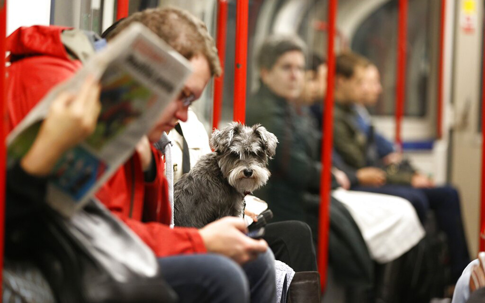 brexit-προθεσμία-28-ημερών-στους-ευρωπαίους-561408283