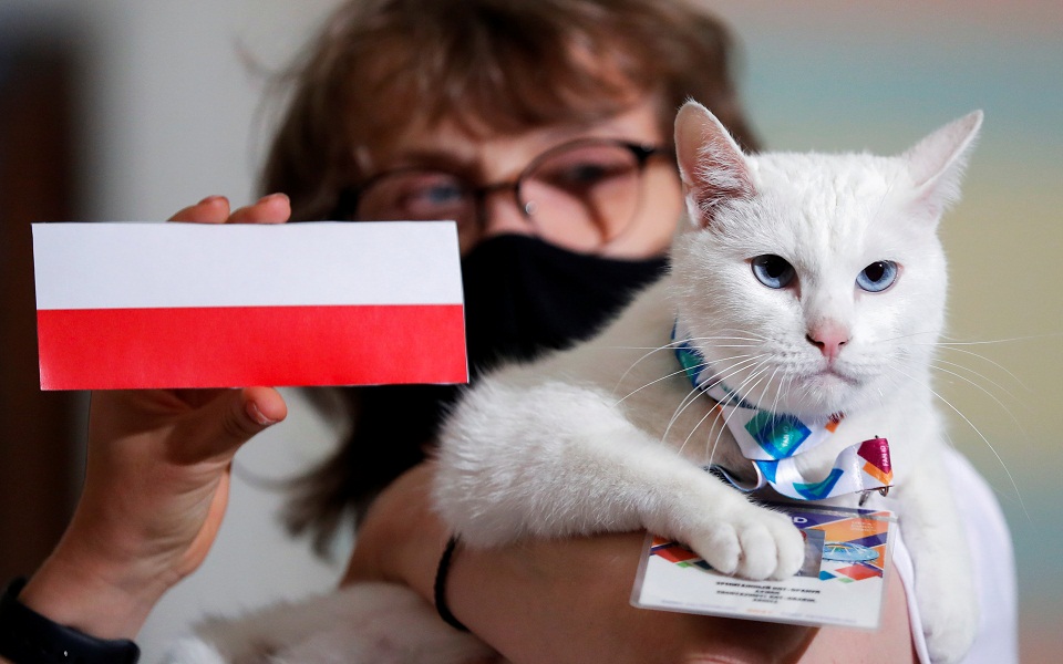 Euro 2021: Ο Αχιλλέας ο γάτος σαρώνει στις προβλέψεις (εικόνες)-3