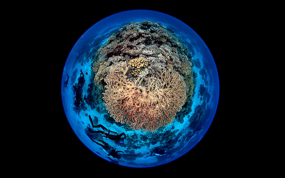 βουτιά-στο-απέραντο-γαλάζιο-με-τον-laurent-ballesta-561392866