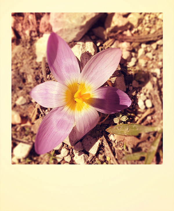 Εθισμένες ταξιδιώτισσες στην ορεινή Κορινθία-2