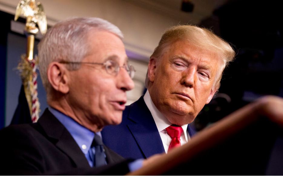 τραμπ-κατά-φάουτσι-για-την-προέλευση-561387412