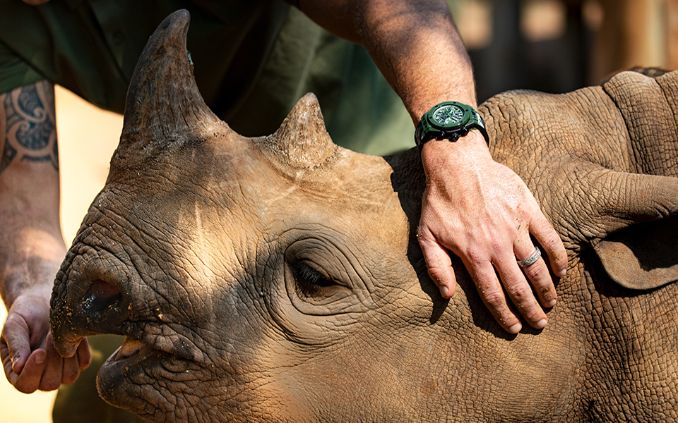 τι-σχέση-έχει-με-την-άγρια-ζωή-το-νέο-hublot-big-bang-u-561390952