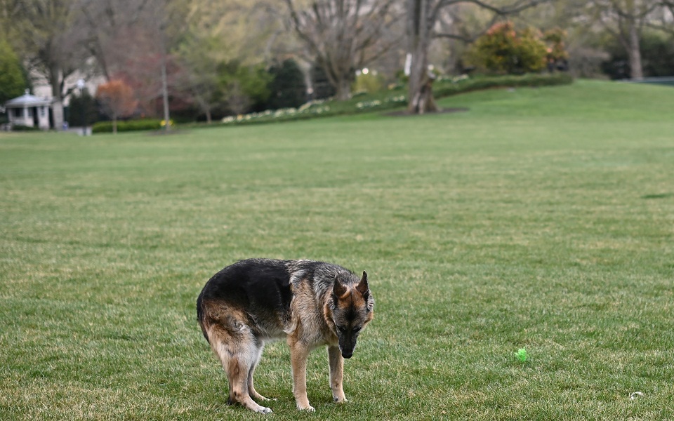 ηπα-οι-μπάιντεν-ανακοίνωσαν-τον-θάνατ-561405895