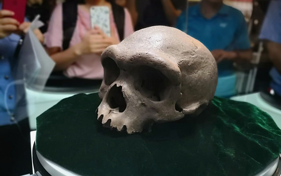 πώς-ένα-κρανίο-1-εκατ-ετών-ξαναγράφει-561412153