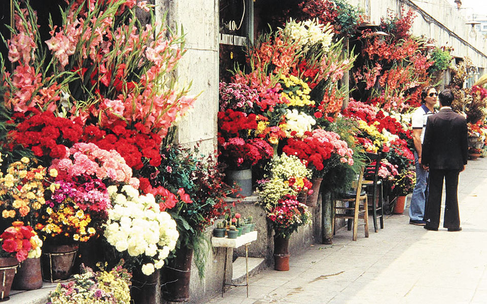 Αναγεννώνται τα ιστορικά ανθοπωλεία του Συντάγματος (εικόνες)-5