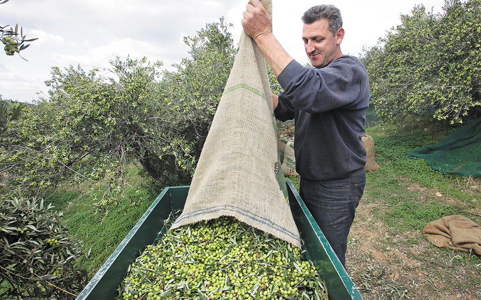 βλέπουν-αύξηση-των-εξαγωγών-κατά-33-τ-561383539