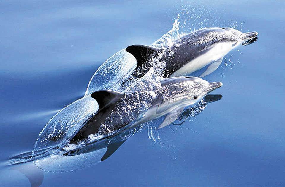 Η βασίλισσα Σοφία επισκέφθηκε Λέρο, Λειψούς και Εθνική Πινακοθήκη, στην Αθήνα-1