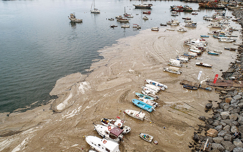 θαλάσσια-βλέννα-στην-τουρκία-η-εξ-ανατ-561391867