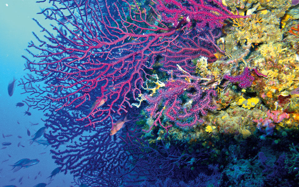 Μεσόγειος: Οι έξι πληγές που προκαλεί η κλιματική κρίση-1