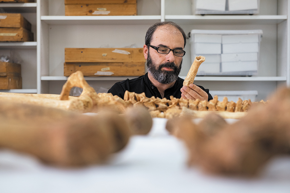 Οι αρχαίοι Θεσσαλονικείς είναι εδώ-2