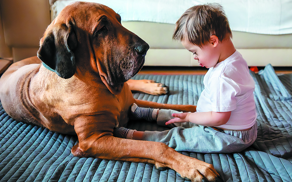 Ο πρωτοπόρος Φρανσουά Μπεζέρ στην «Κ»: Πώς τα ζώα θεραπεύουν παιδιά και ενηλίκους-1