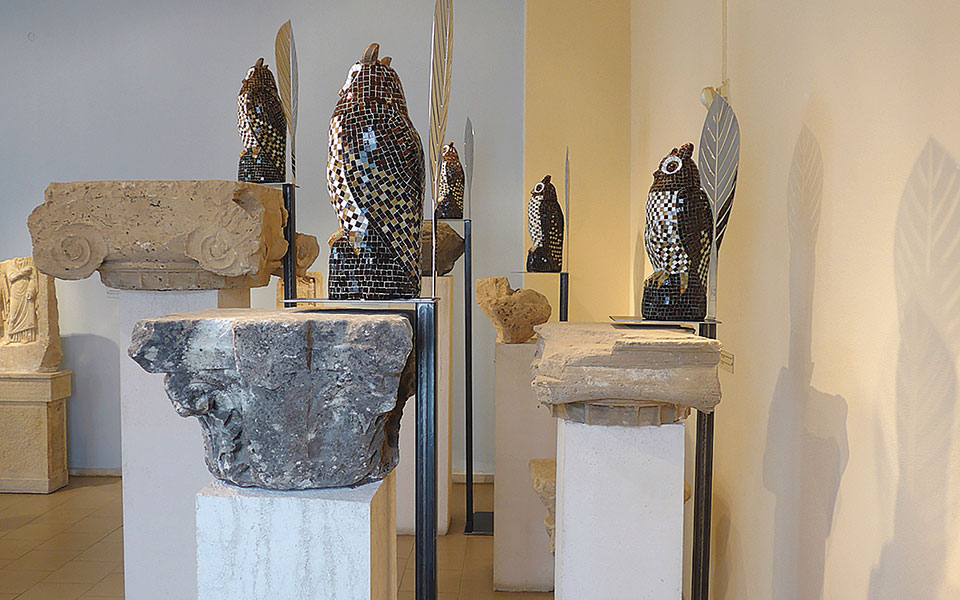 Οι πεταλούδες της Αφροδίτης Λίτη πέταξαν έως το Μουσείο της Αρχαίας Μεσσήνης-2