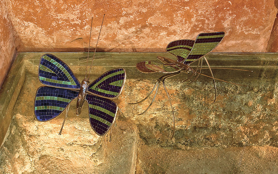 οι-πεταλούδες-της-αφροδίτης-λίτη-πέτα-561404746