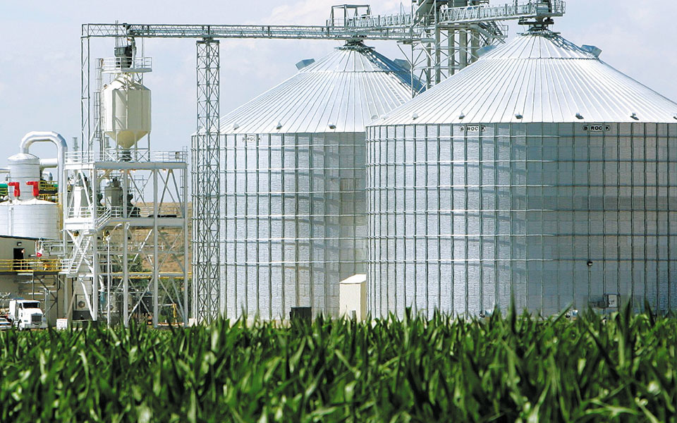 σε-άνοδο-οι-τιμές-των-αγροτικών-προϊόν-561408412