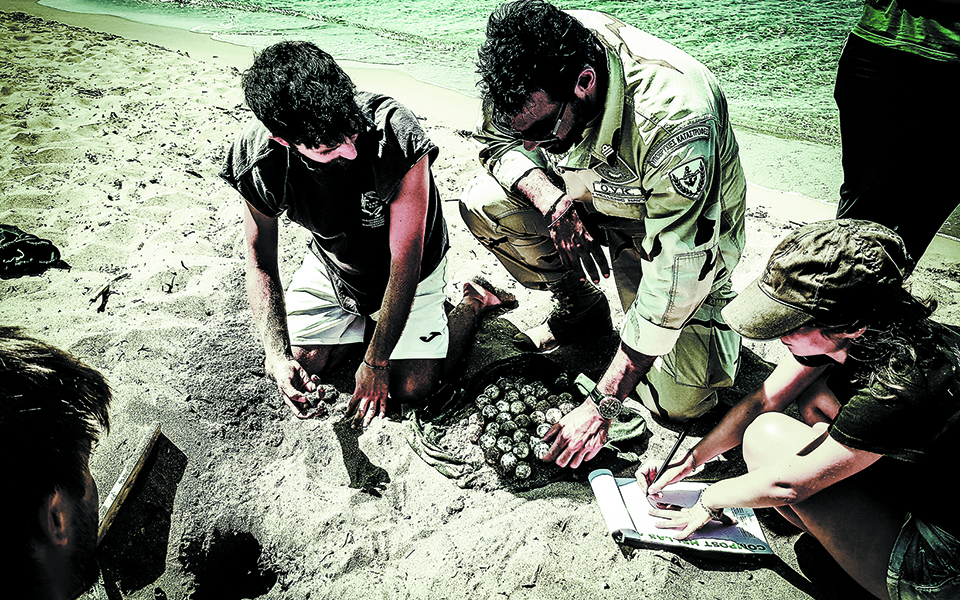 «Πράσινη επανάσταση» στον στρατό-3