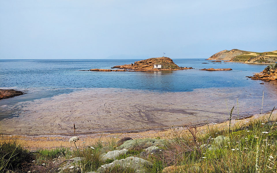 αυτοψία-στη-λήμνο-σχέδιο-δράσης-για-τη-561413329
