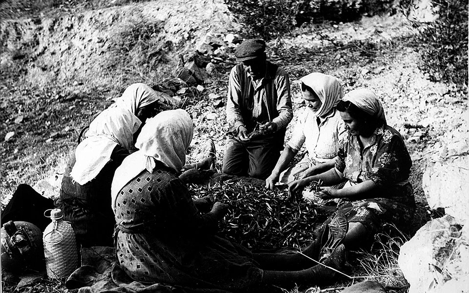 μάργκαρετ-κένα-μια-έκθεση-τέχνης-για-τ-561412753