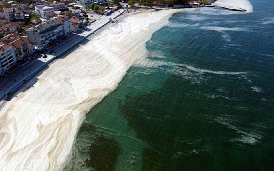 θαλάσσια-βλέννα-πρώτη-αναφορά-του-φαι-561409669