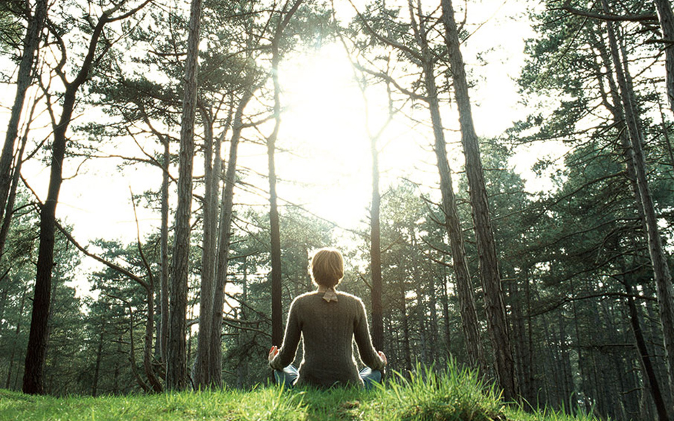 eσύ-άρχισες-γιόγκα-561416461