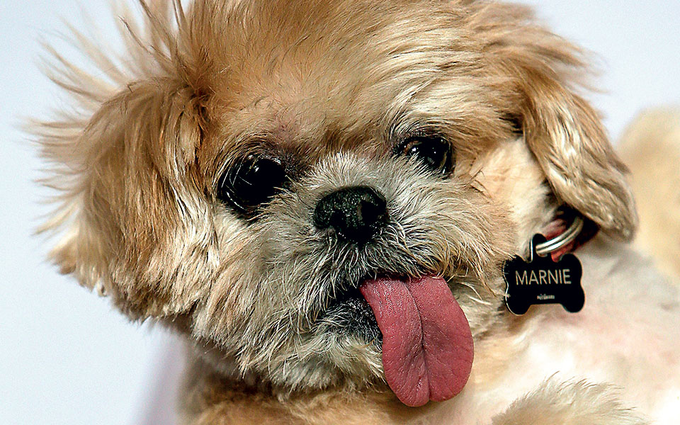 η-μάρνι-των-24-εκατ-δολαρίων-561400537