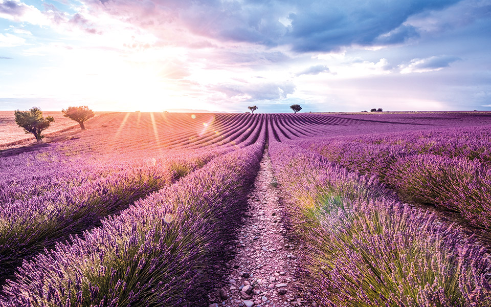 Οινοτουρισμός στην Προβηγκία-4