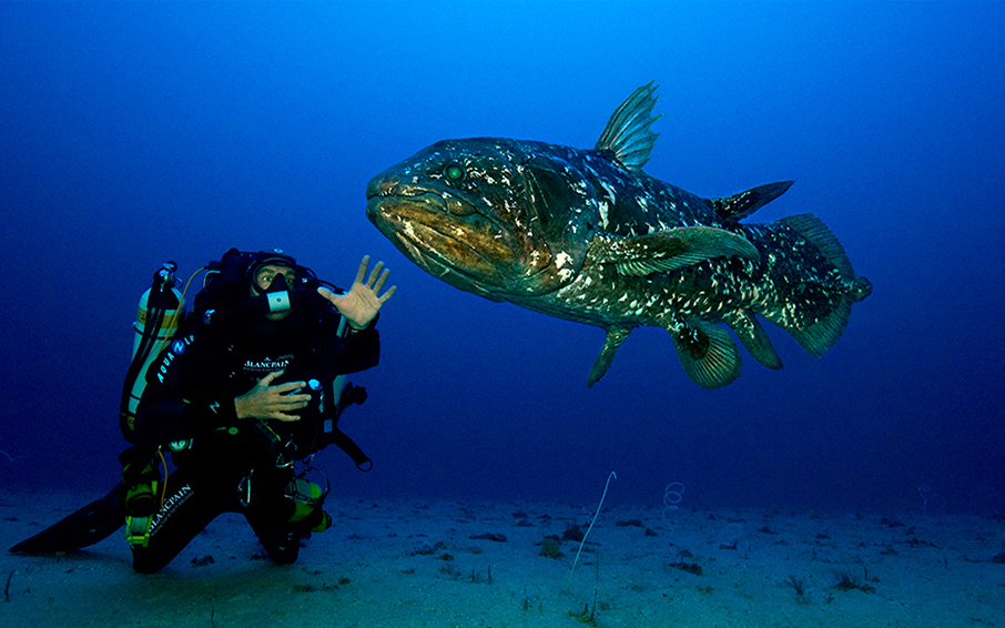 Βουτιά στο απέραντο γαλάζιο με τον Laurent Ballesta και την BLANCPAIN-4