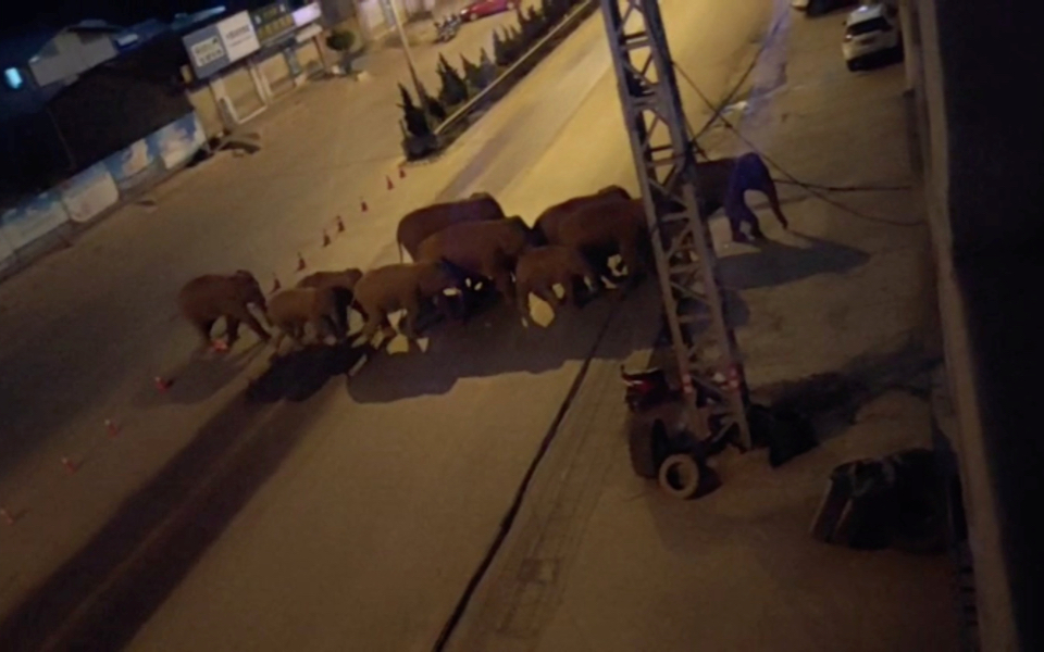 κίνα-αγέλη-ελεφάντων-κινείται-από-πόλ-561385210