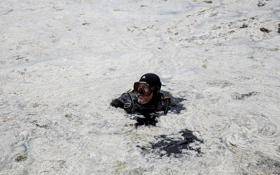 Θάλασσα Μαρμαρά: Μελετώντας από κοντά τη «θαλάσσια βλέννα» (εικόνες)-1