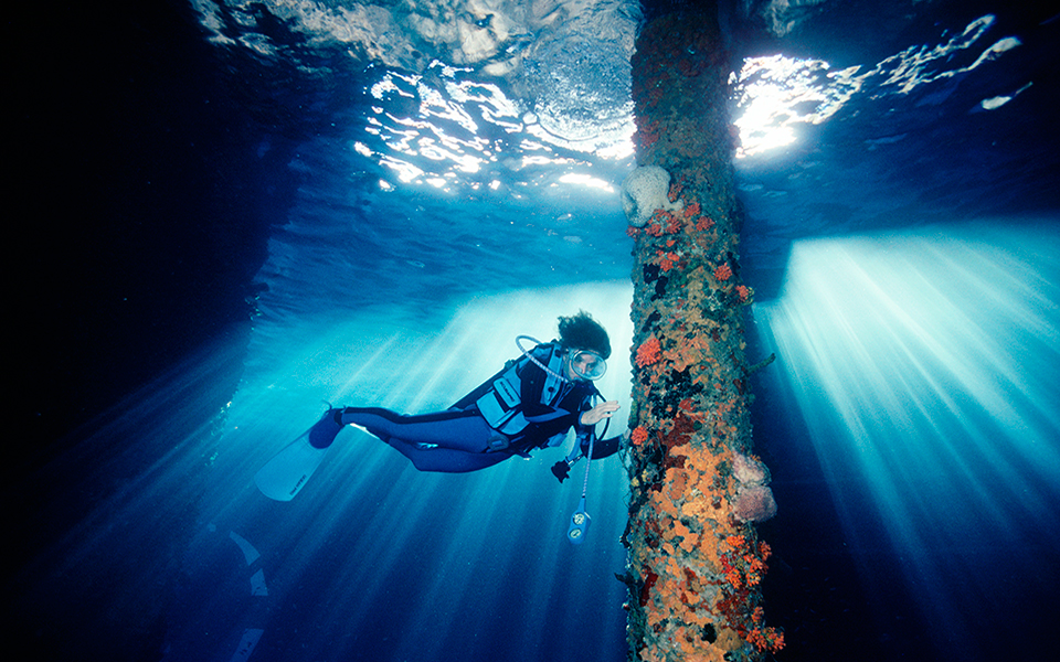 τι-χρειάζεται-για-να-σωθούν-τα-πιο-ευαί-561394432