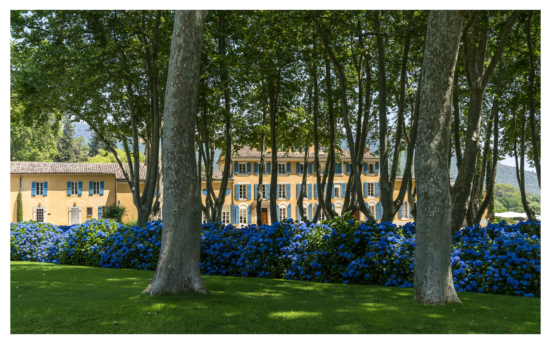 στον-οινοχόο-ιουνίου-το-σάββατο-19-ιουν-561402484