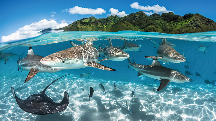 Στον αστερισμό των προσωποποιημένων ταξιδιών-1