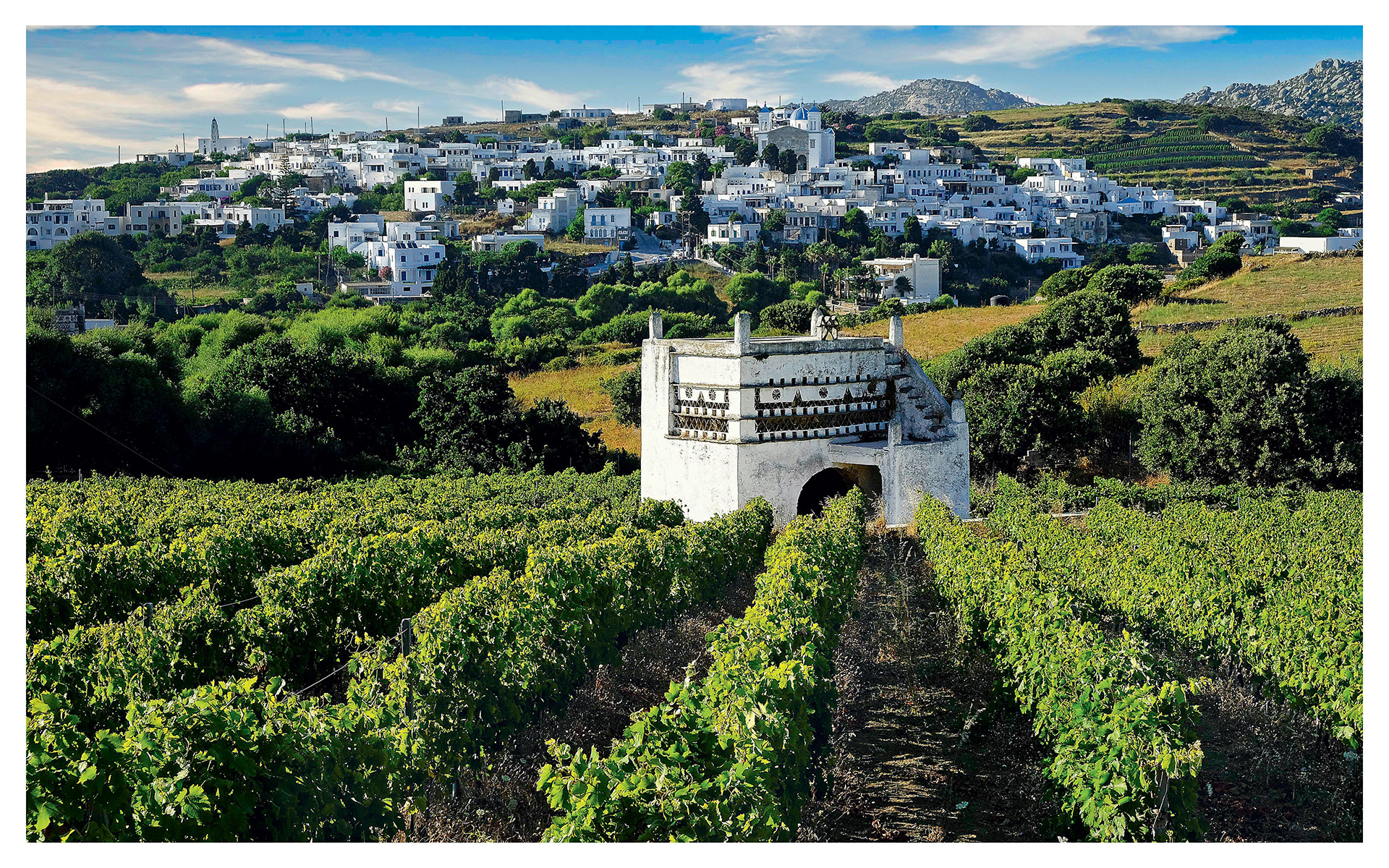 στον-οινοχόο-ιουνίου-το-σάββατο-19-ιουν-561402478