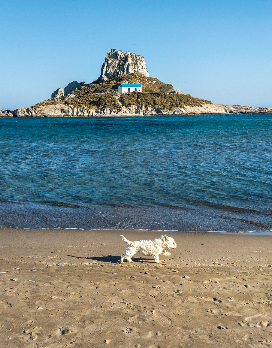 Η Κως συστήνεται ξανά-5