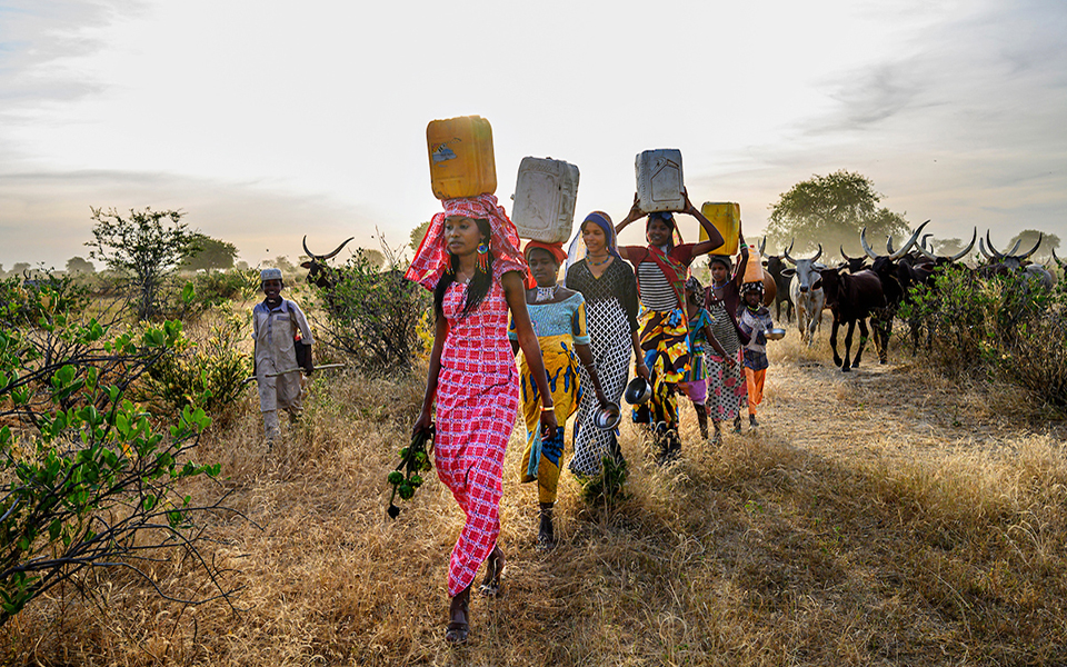 μπορούν-απλοί-άνθρωποι-να-σώσουν-τον-κ-561415312
