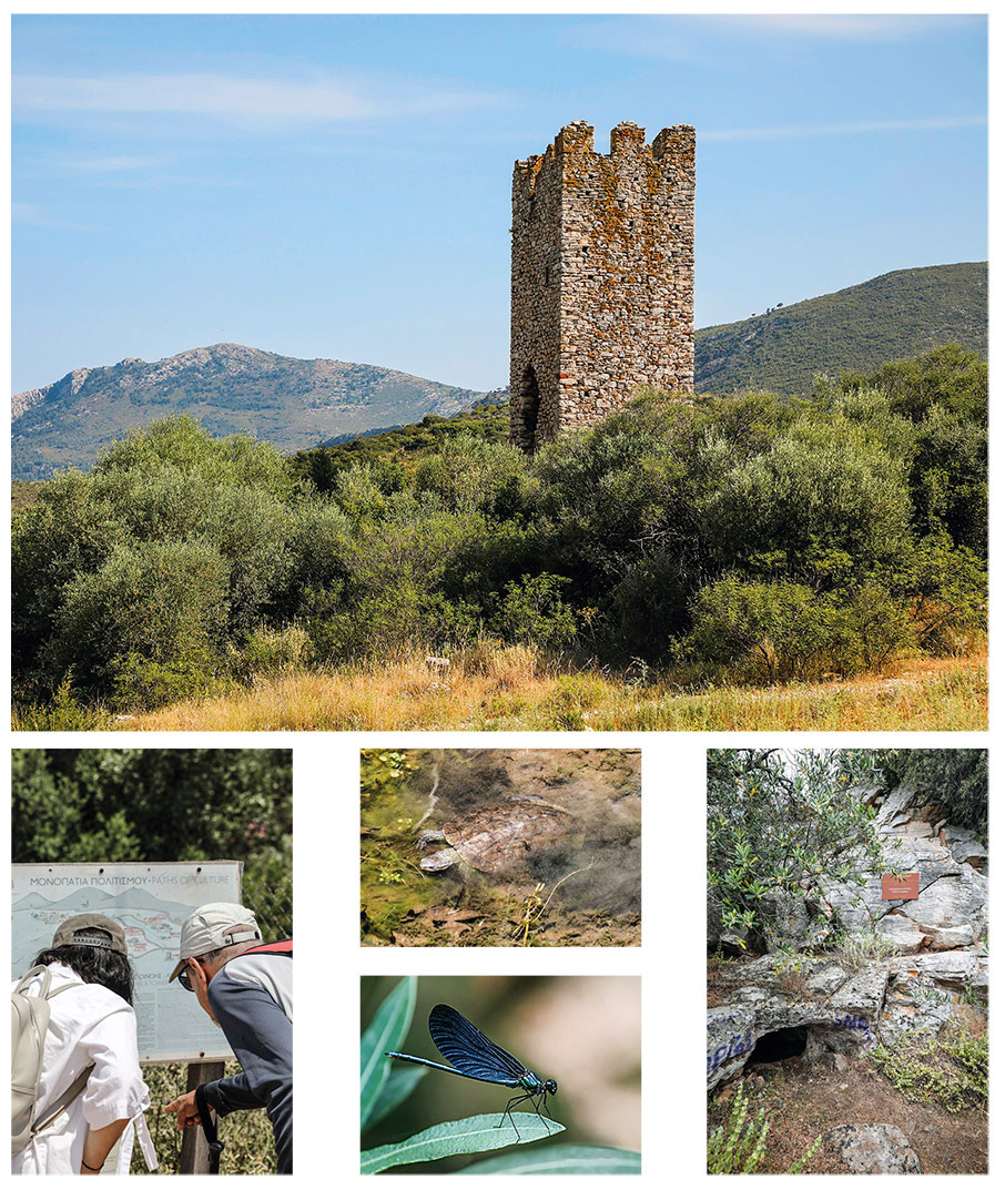 Το φαράγγι  της Οινόης-2